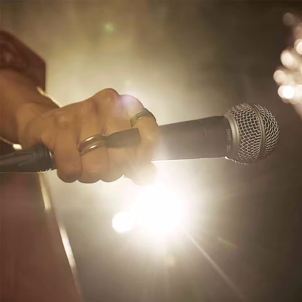 Karaoke Dynamic Microphone Pro - огляд і ціна Pc Gaming Live Streaming